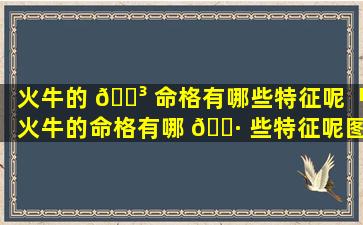 火牛的 🐳 命格有哪些特征呢「火牛的命格有哪 🕷 些特征呢图片」